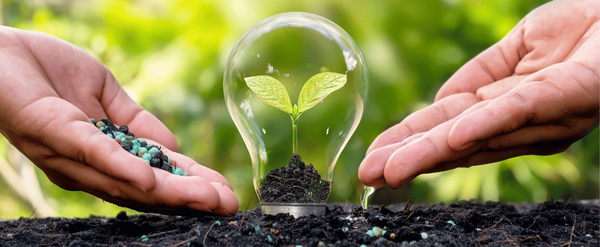 De verschillen tussen gloeilampen en LED lampen - LED.nl