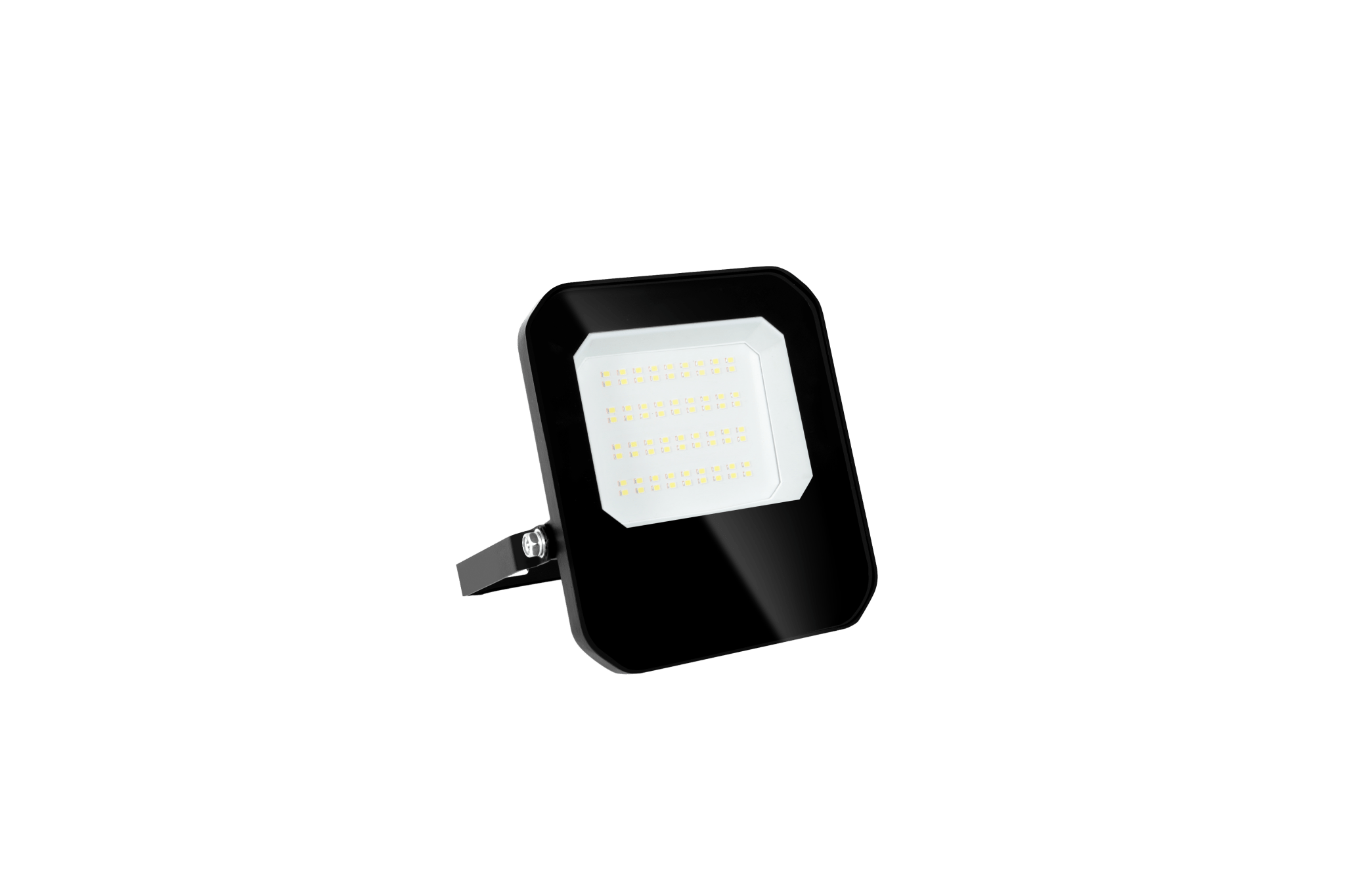 LED's Light Buitenlamp schijnwerper 4200 - voor binnen en buiten - 30W Schijnwerpers LED.nl