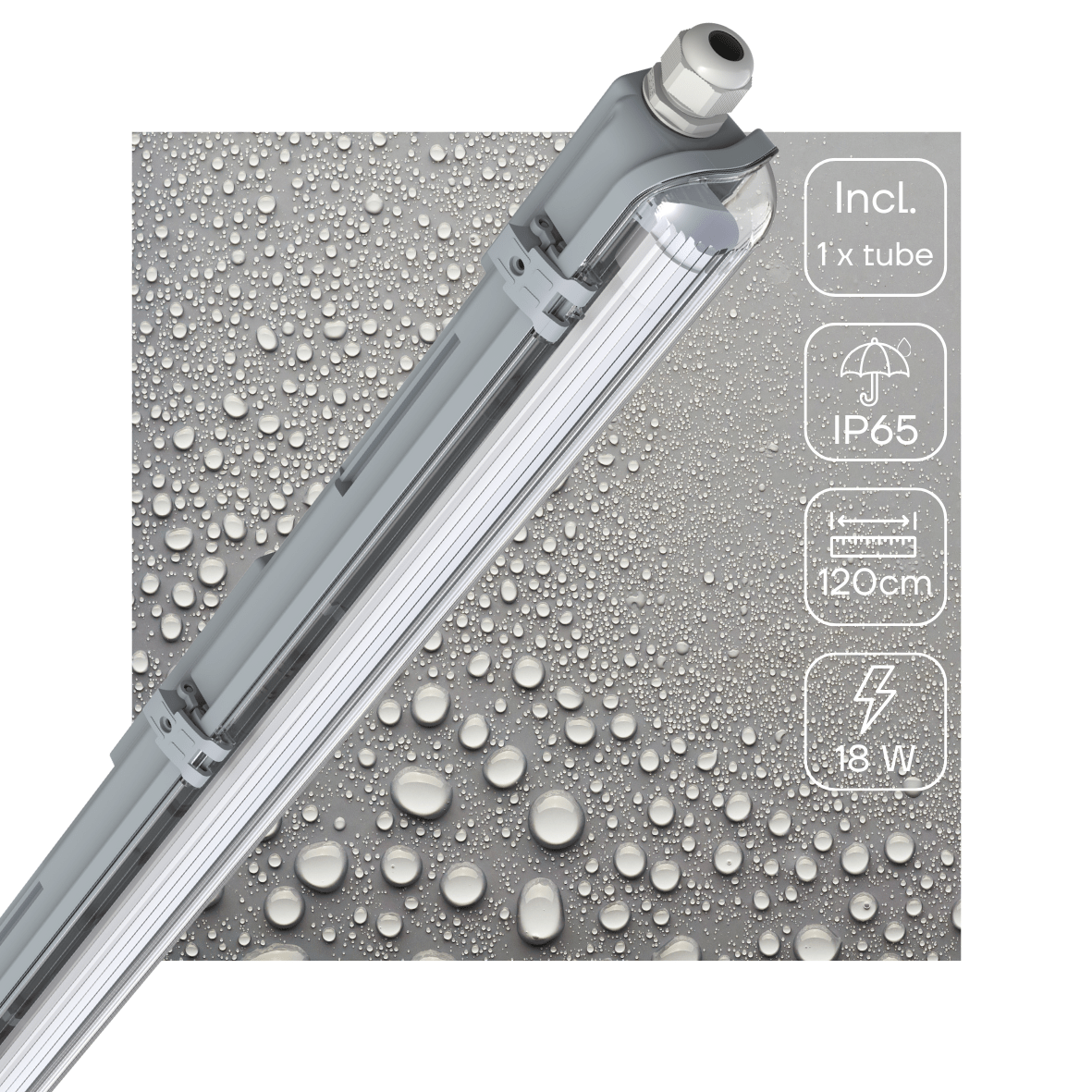 LED's Light LED TL armatuur met lamp 120 cm - Koud wit licht 6500 K - Waterdicht - Complete set TL verlichting LED.nl