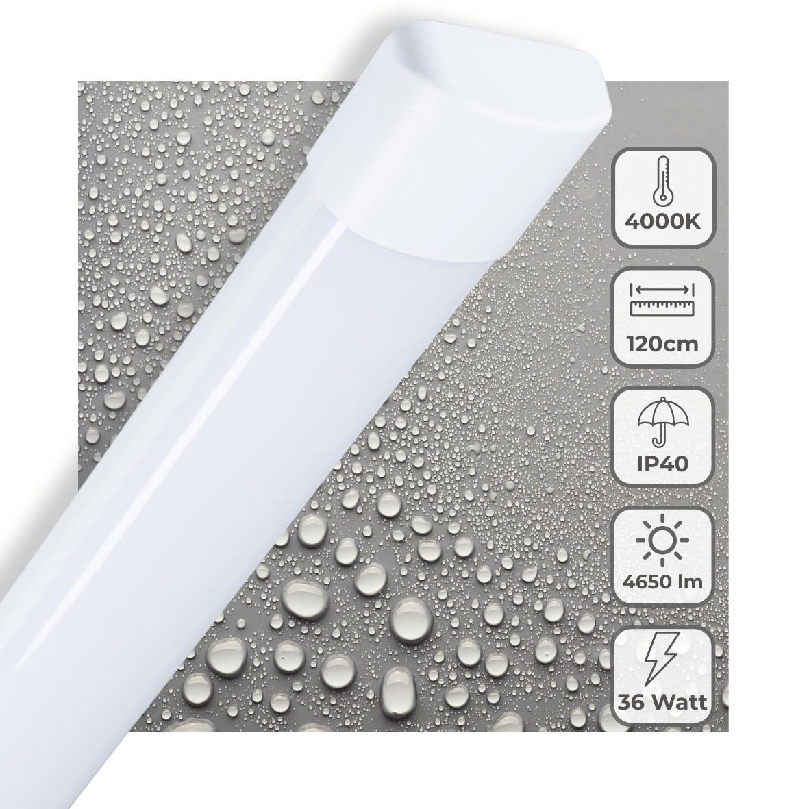 LED's Light LED TL lamp 120 cm voor binnen - Complete LED TL verlichting - 4650 lm TL verlichting LED.nl