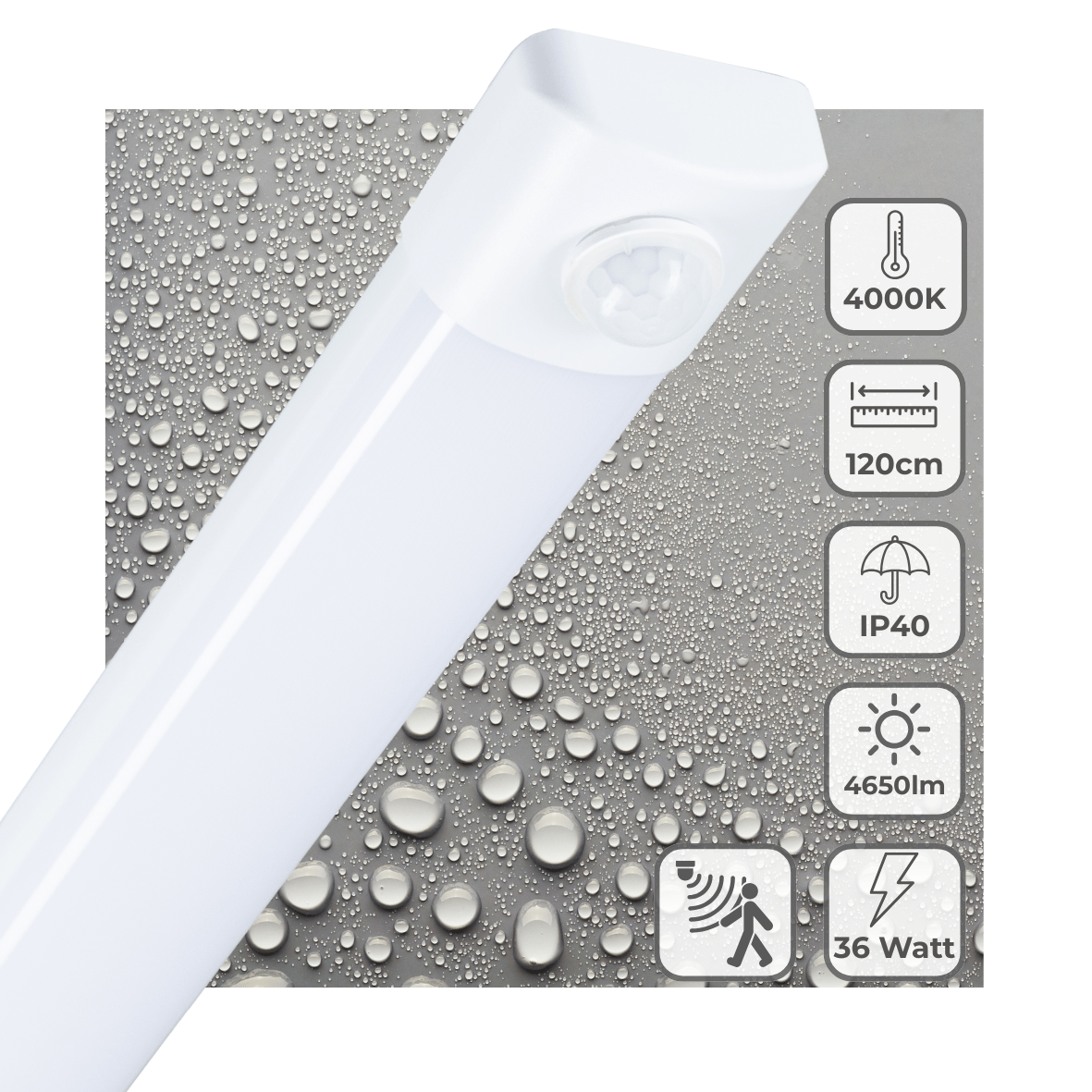 LED's Light LED TL lamp met sensor 120 cm - Bewegingssensor en bewegingsdetectie - 4650 lm TL verlichting LED.nl