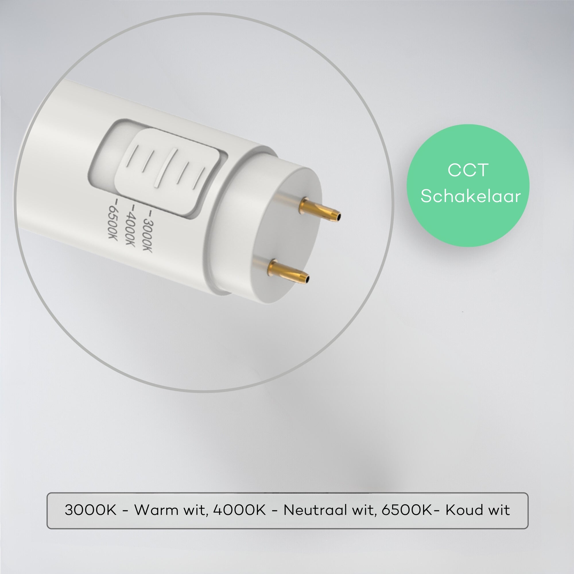 LED's Light LED TL verlichting compleet met LED TL buis 120 cm - 3 lichtkleuren - 18W (36W) TL verlichting LED.nl