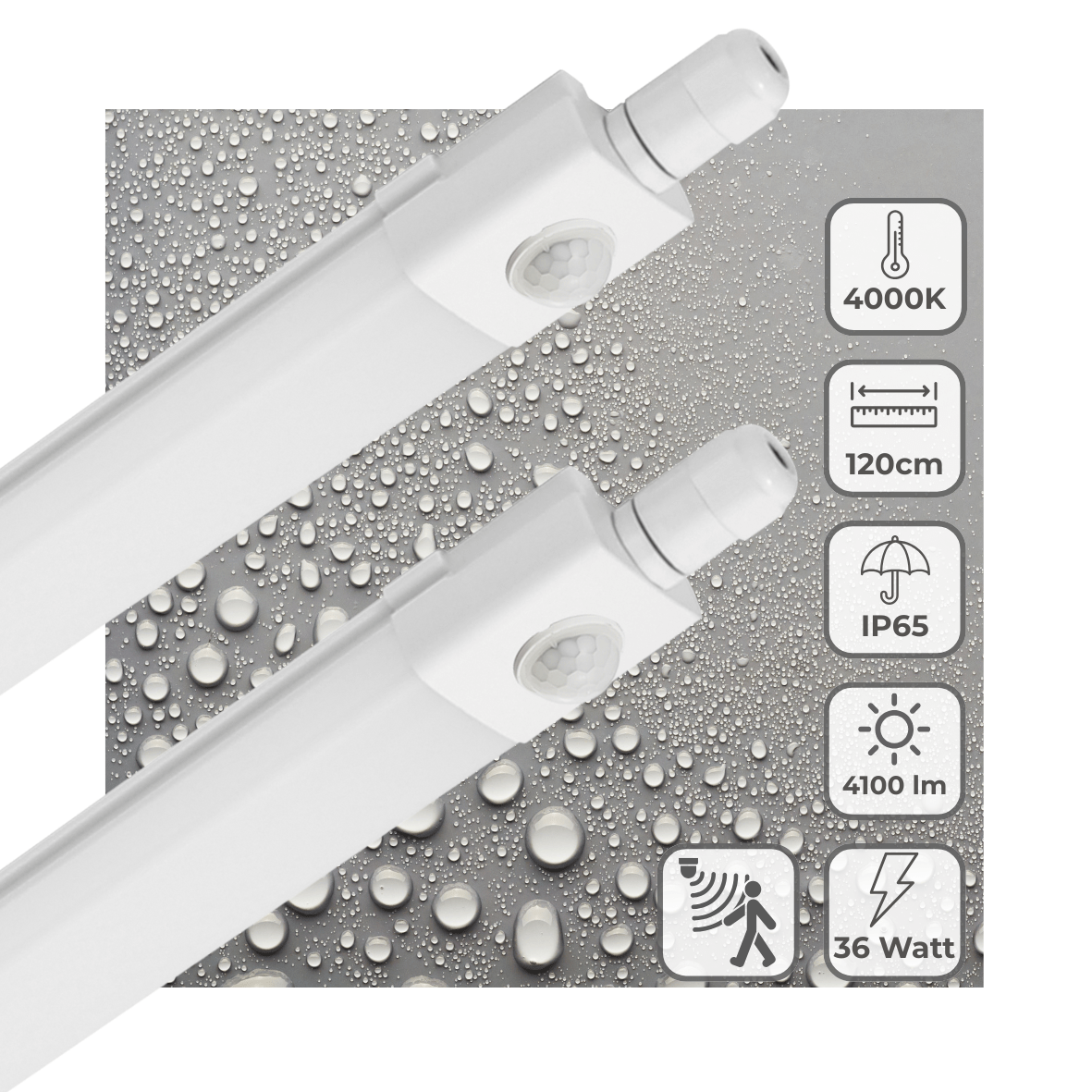 2 PACK - LED's Light LED TL verlichting met sensor 120 cm - Bewegingssensor en bewegingsdetectie - 4100 lm - LED.nl