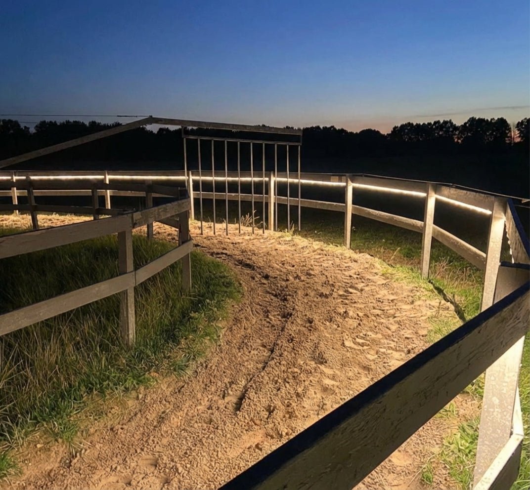 Baanverlichting Paarden of longeerbak Horsewalker Verlichting 25m - Verlengbaar tot 75 meter - 20.000 lm Led.nl
