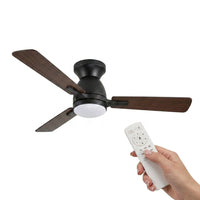 LED's Light Plafondventilator met lamp 106cm 2in1 Hout/Zwart 53W 2200lm 1800K/4000K Plafondventilatoren LED.nl