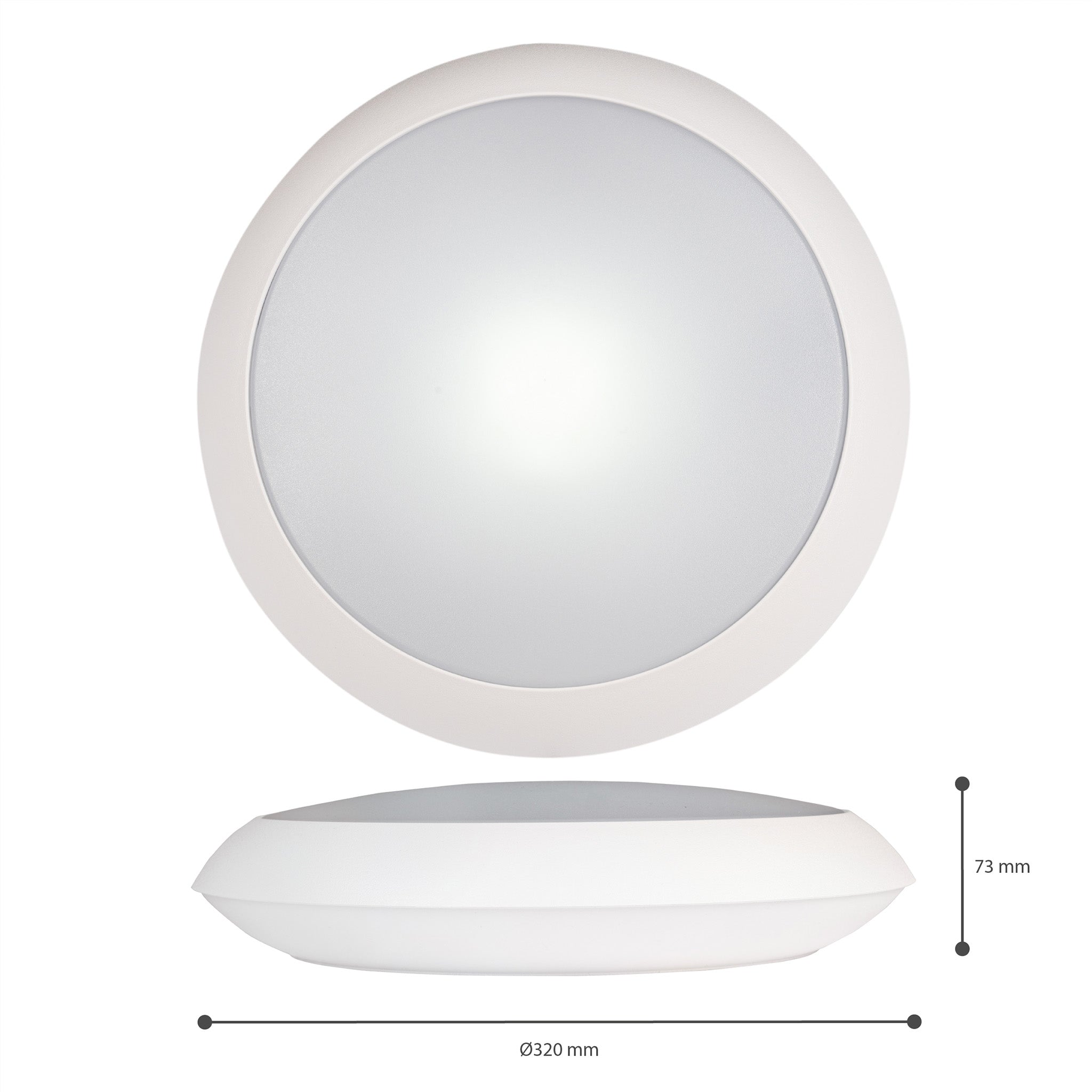 LED's Light Pro Plafondlamp 2050 met sensor - Lichtkleur en lichtsterkte dimbaar - Waterdicht - Ø 30 cm - LED.nl