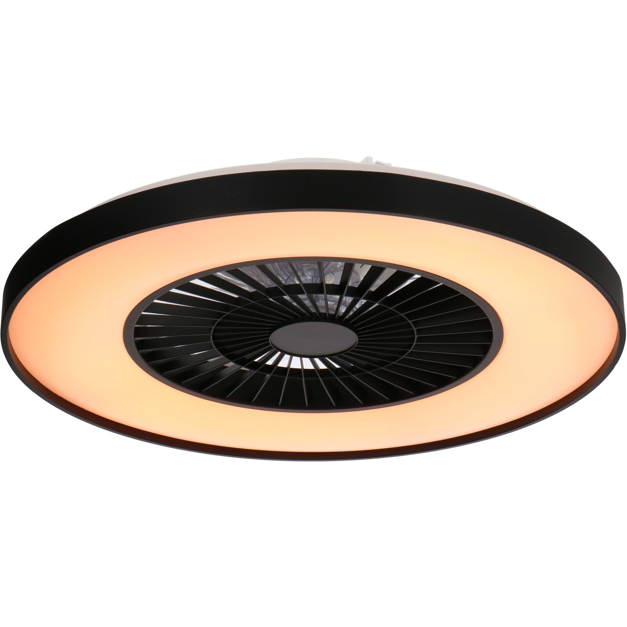 Proventa Premium Plafondventilator met lamp 60 cm - Zomer- en winterstand met afstandsbediening - Zwart - LED.nl