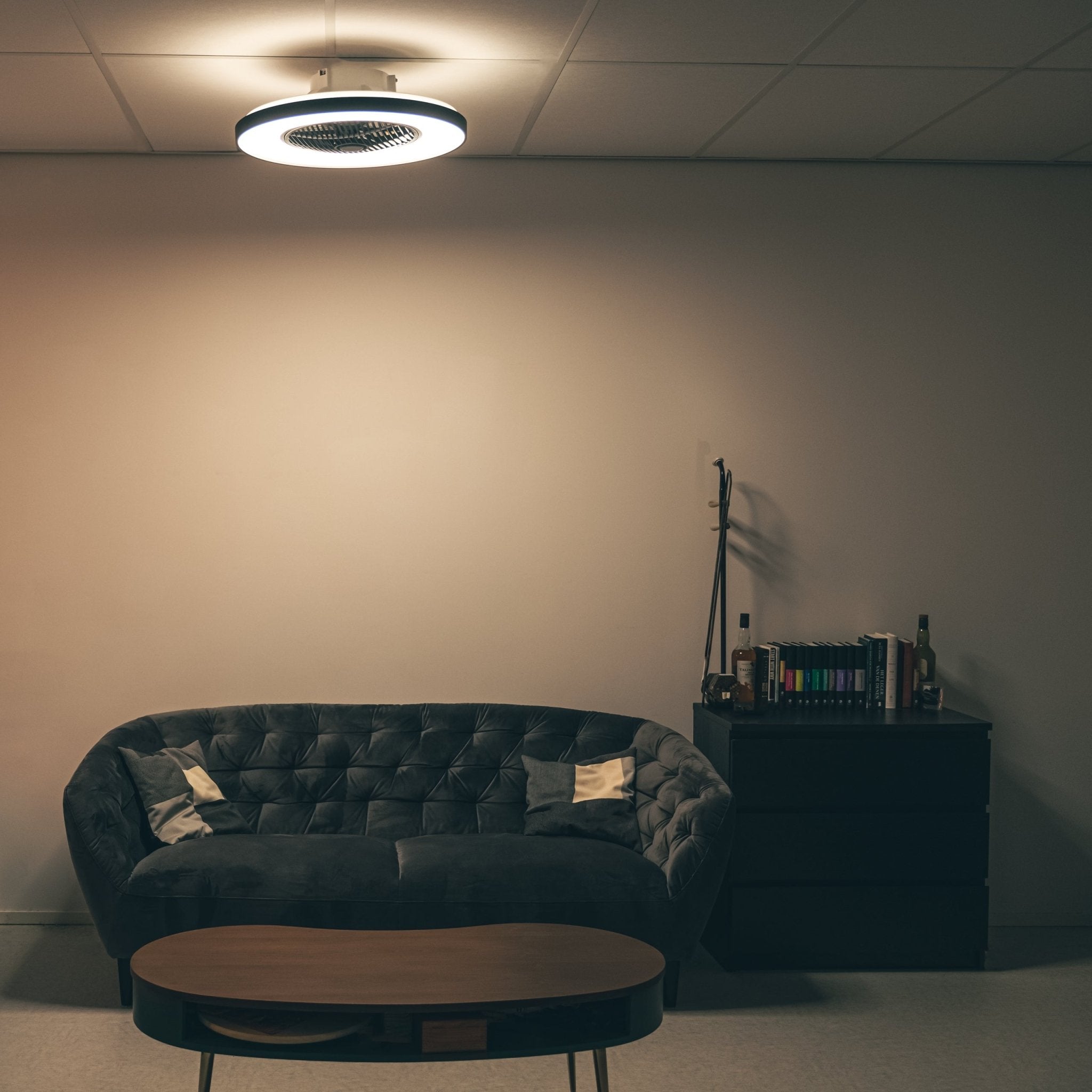Proventa Premium Plafondventilator met lamp 60 cm - Zomer- en winterstand met afstandsbediening - Zwart - LED.nl