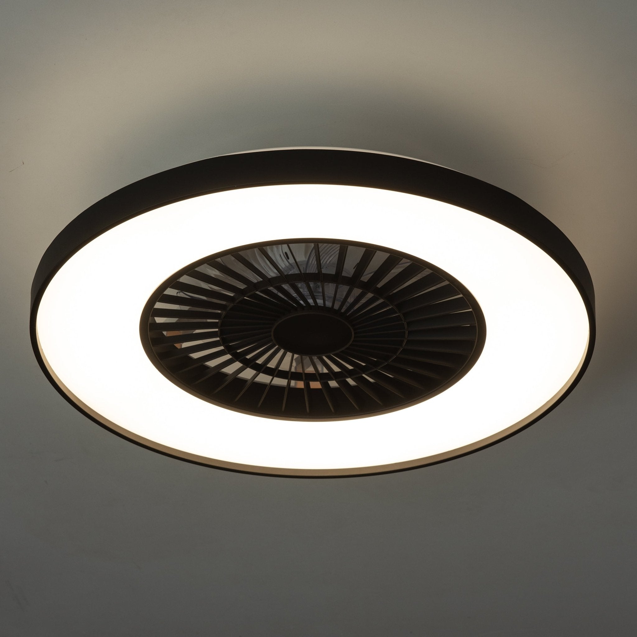 Proventa Premium Plafondventilator met lamp 60 cm - Zomer- en winterstand met afstandsbediening - Zwart - LED.nl