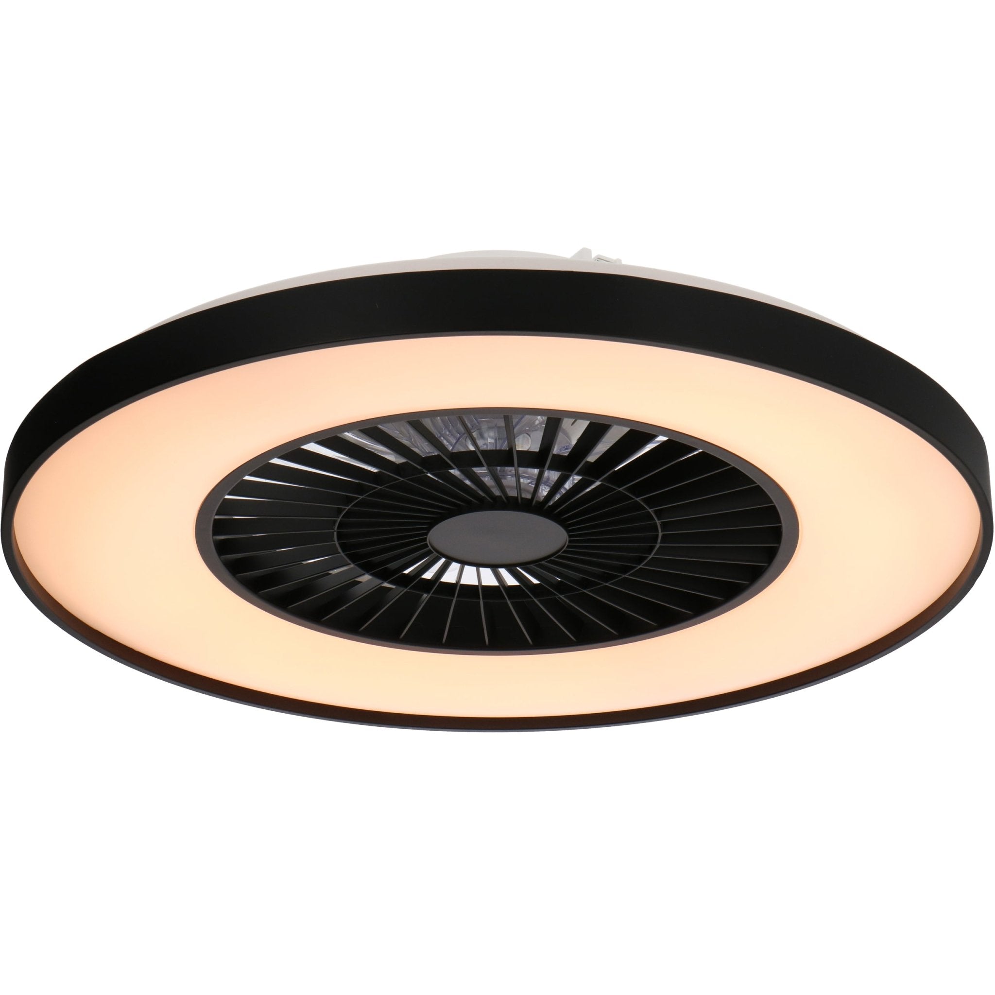Proventa Premium Plafondventilator met lamp 60 cm - Zomer- en winterstand met afstandsbediening - Zwart - LED.nl