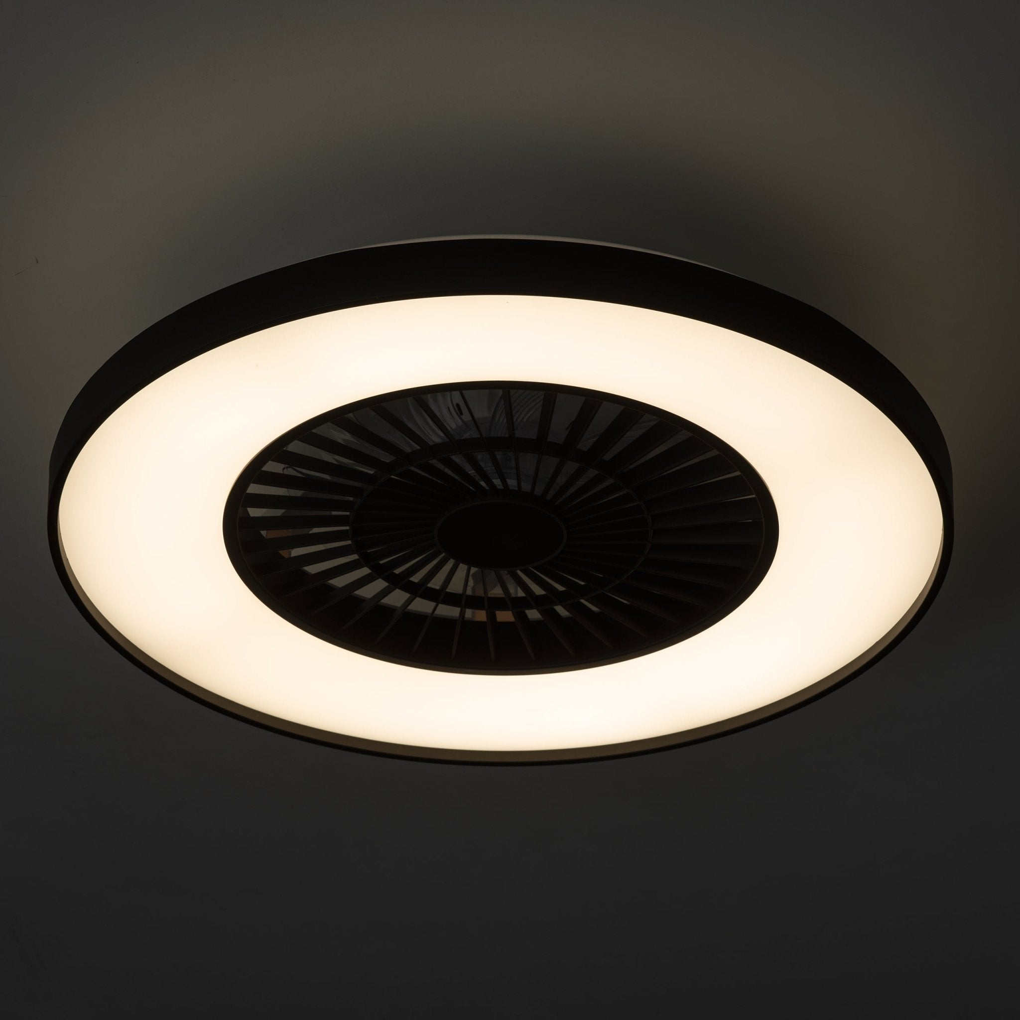 Proventa Premium Plafondventilator met lamp 60 cm - Zomer- en winterstand met afstandsbediening - Zwart - LED.nl