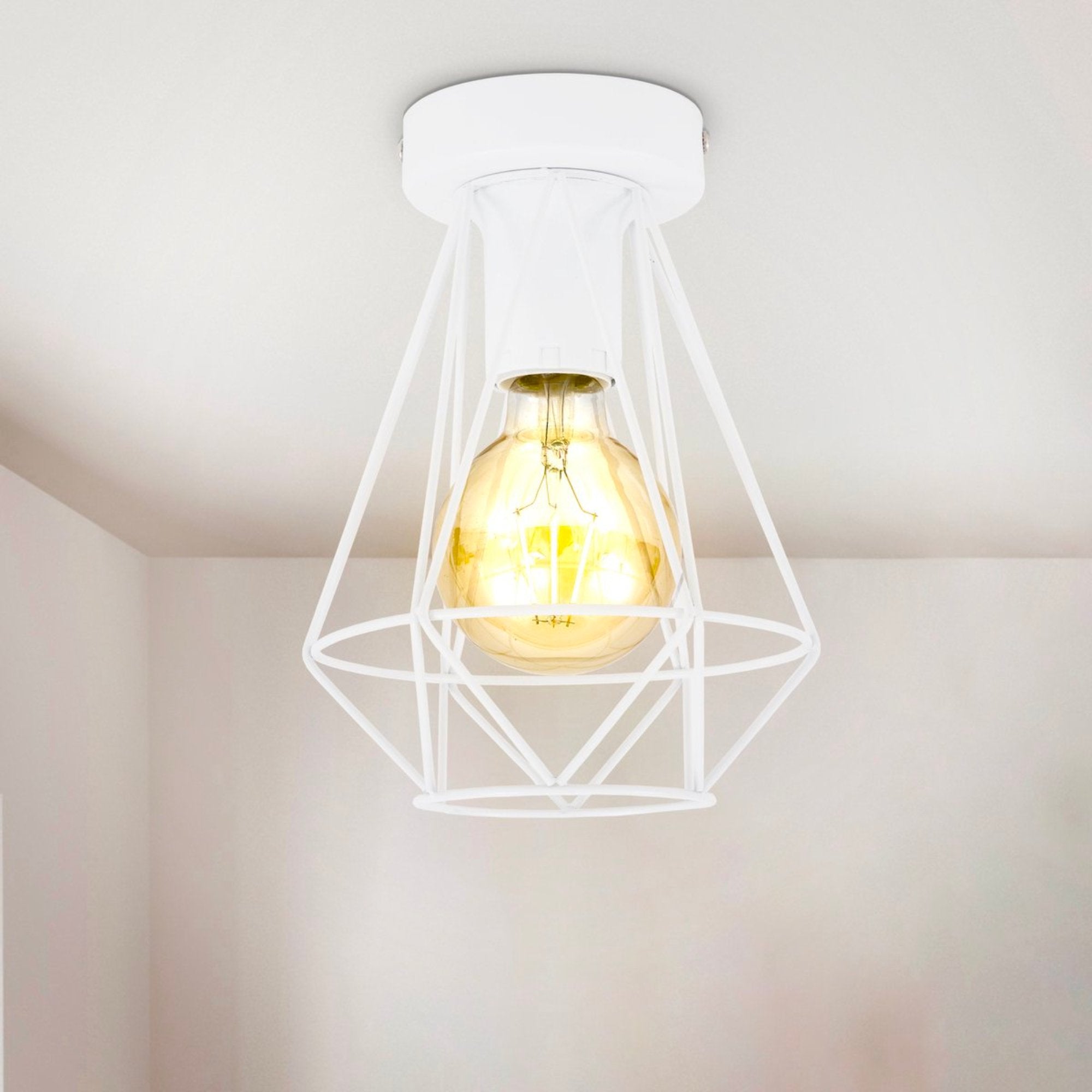 B.K.Licht - Decoratieve witte plafondlamp - Metaal - Industrieel - Draad - Ø16.5cm - Met E27 fitting - Excl. lichtbron - LED.nl