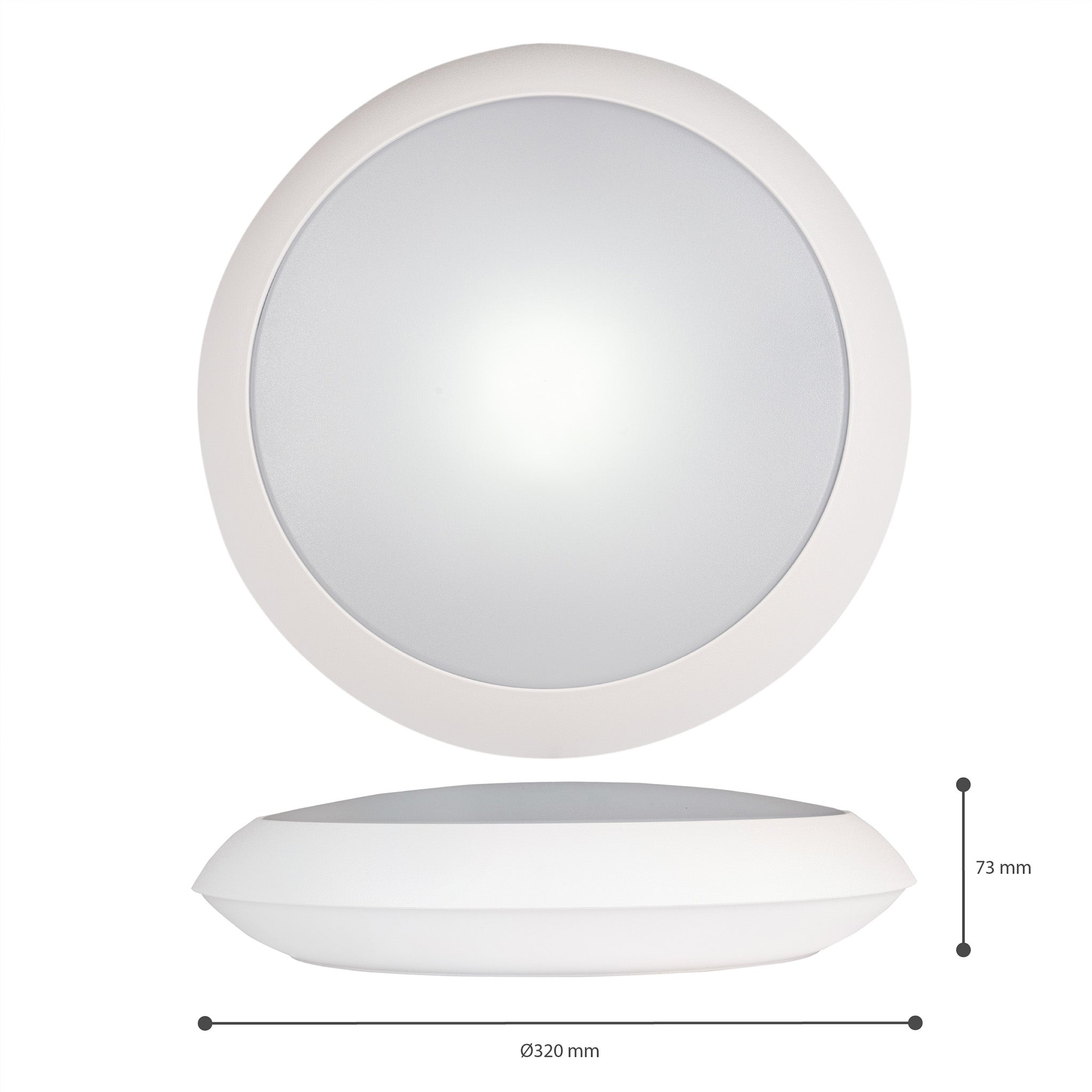 EasyFix LED Plafondlamp 30 cm - Lichtkleur en lichtsterkte dimbaar - Waterdicht - IP66 - LED.nl
