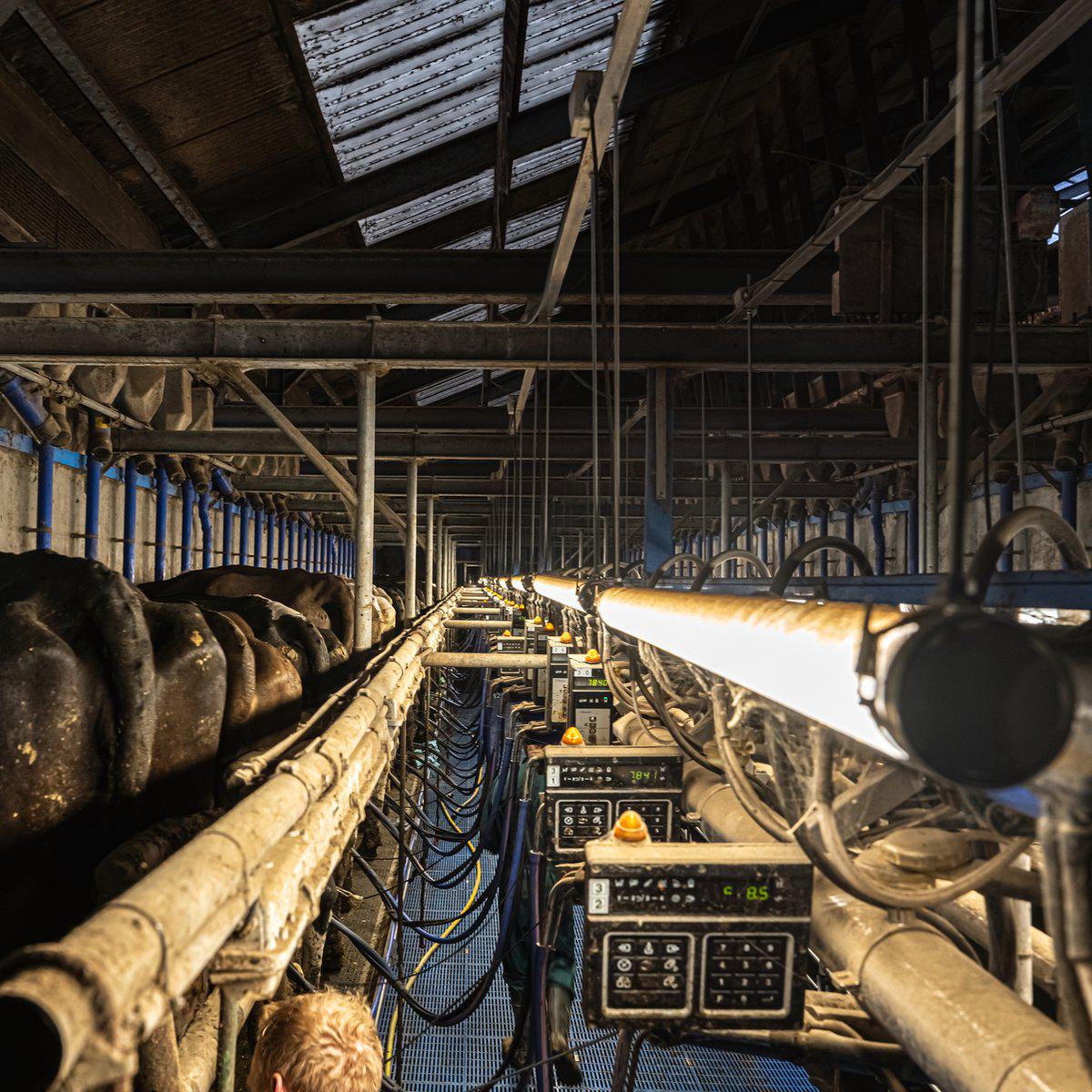 FarmPro LED TL armatuur 150 cm  - Agrarische LED TL verlichting  - Ammoniak- en waterbestendig  - IP69K - LED.nl