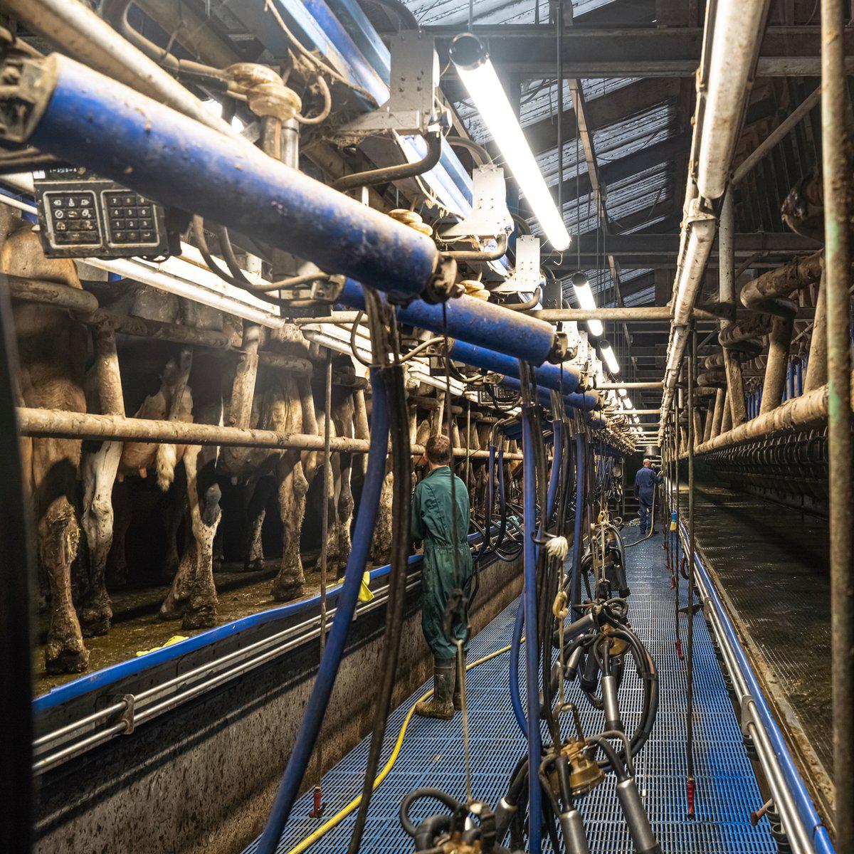 FarmPro LED TL armatuur 150 cm  - Agrarische LED TL verlichting  - Ammoniak- en waterbestendig  - IP69K - LED.nl