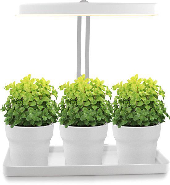 LED Kweekbak met groeilamp voor planten - In hoogte verstelbaar - Automatisch aan/uit - Wit - LED.nl