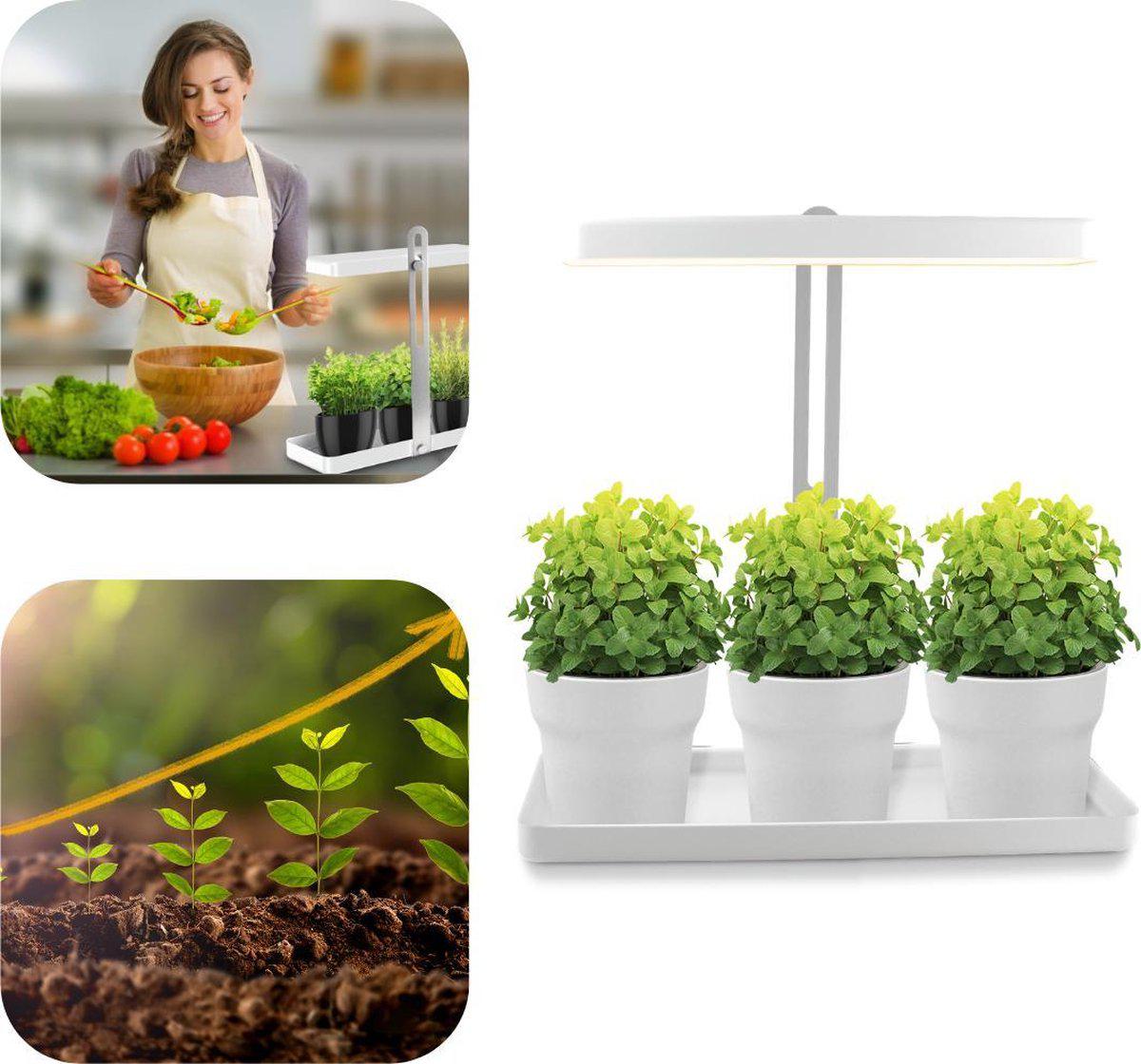 LED Kweekbak met groeilamp voor planten - In hoogte verstelbaar - Automatisch aan/uit - Wit - LED.nl