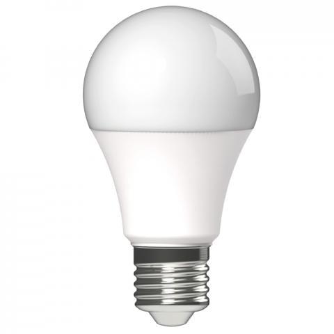 LED Lamp E27 - Mat - Warm wit licht - 8.5W vervangt 60W - LED.nl