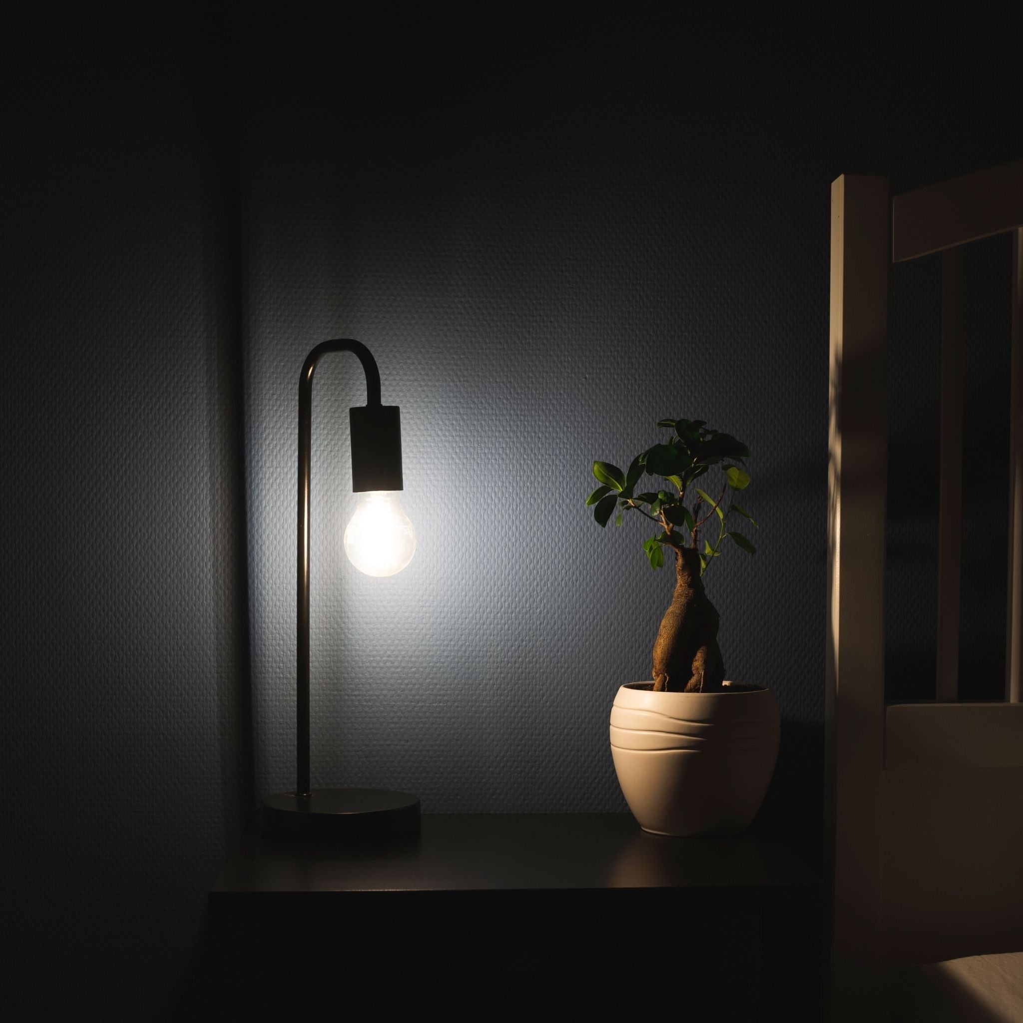 LED.nl Dimbare LED filament lamp - E27 fitting - Stralingshoek van 360° - 1 x led lamp - LED.nl