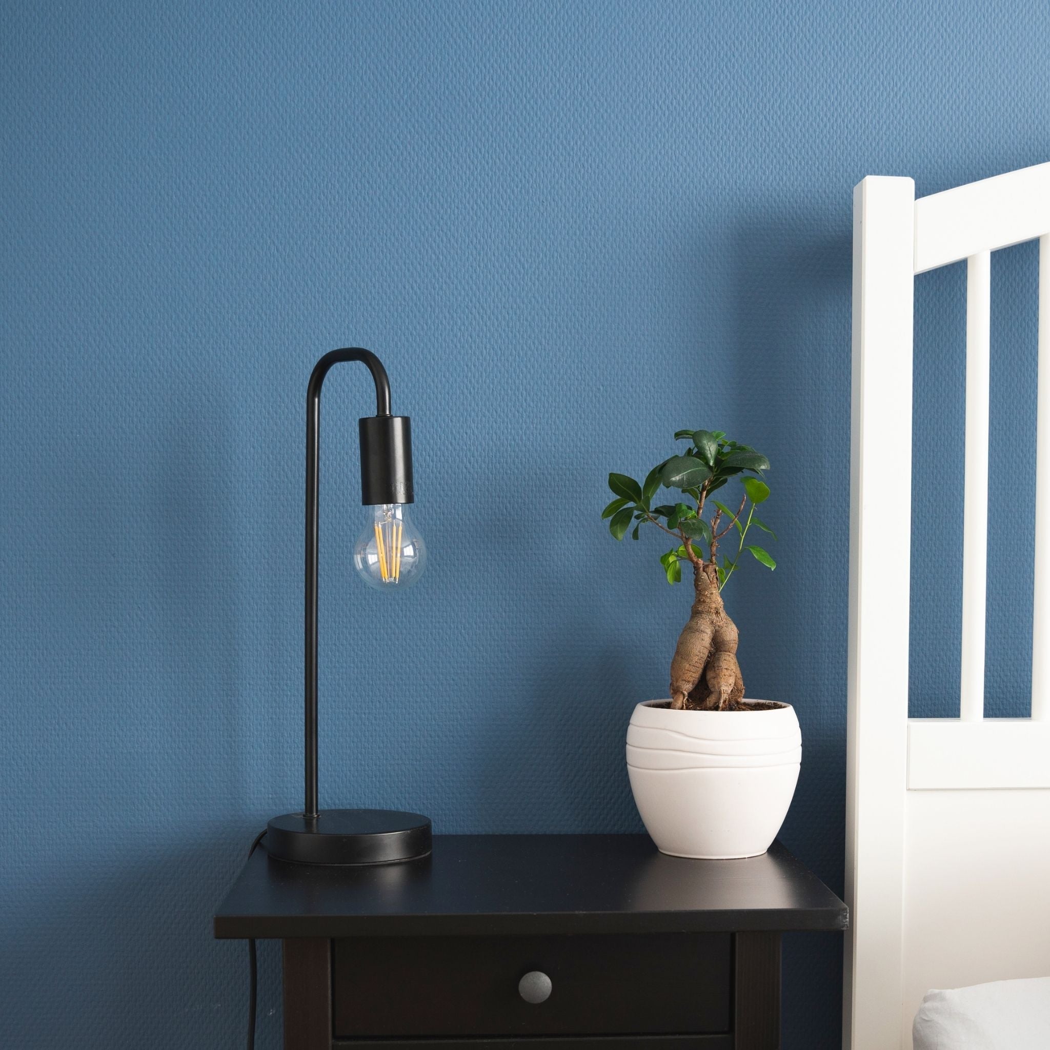LED.nl Dimbare LED filament lamp - E27 fitting - Stralingshoek van 360° - 1 x led lamp - LED.nl