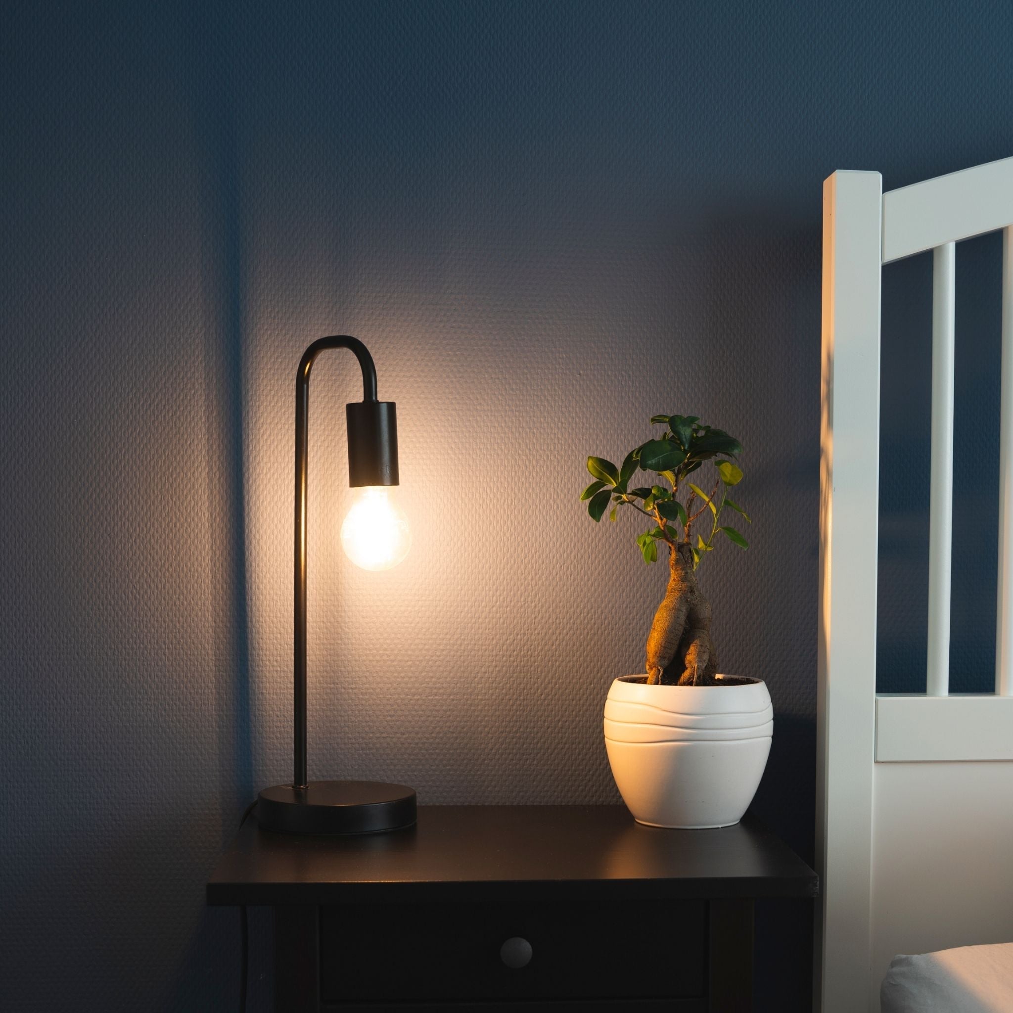 LED.nl Dimbare LED filament lamp - E27 fitting - Stralingshoek van 360° - 1 x led lamp - LED.nl
