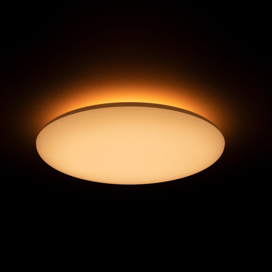 LED.nl Dimmbare LED-Deckenleuchte _ 35 cm – Dimmbar in 8 Positionen – Warmweiße Deckenleuchte - LED.de