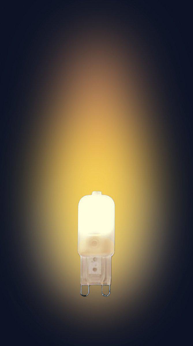 LongLife LED G9 Steeklampjes - Mat - 2W vervangt 20W - Warm wit licht - LED.nl