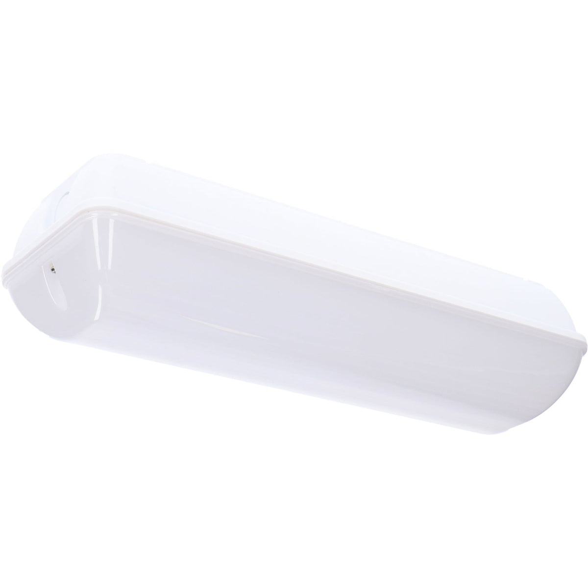 Dimbare MINI LED TL armatuur met lamp 30 cm kopen? - LED.nl