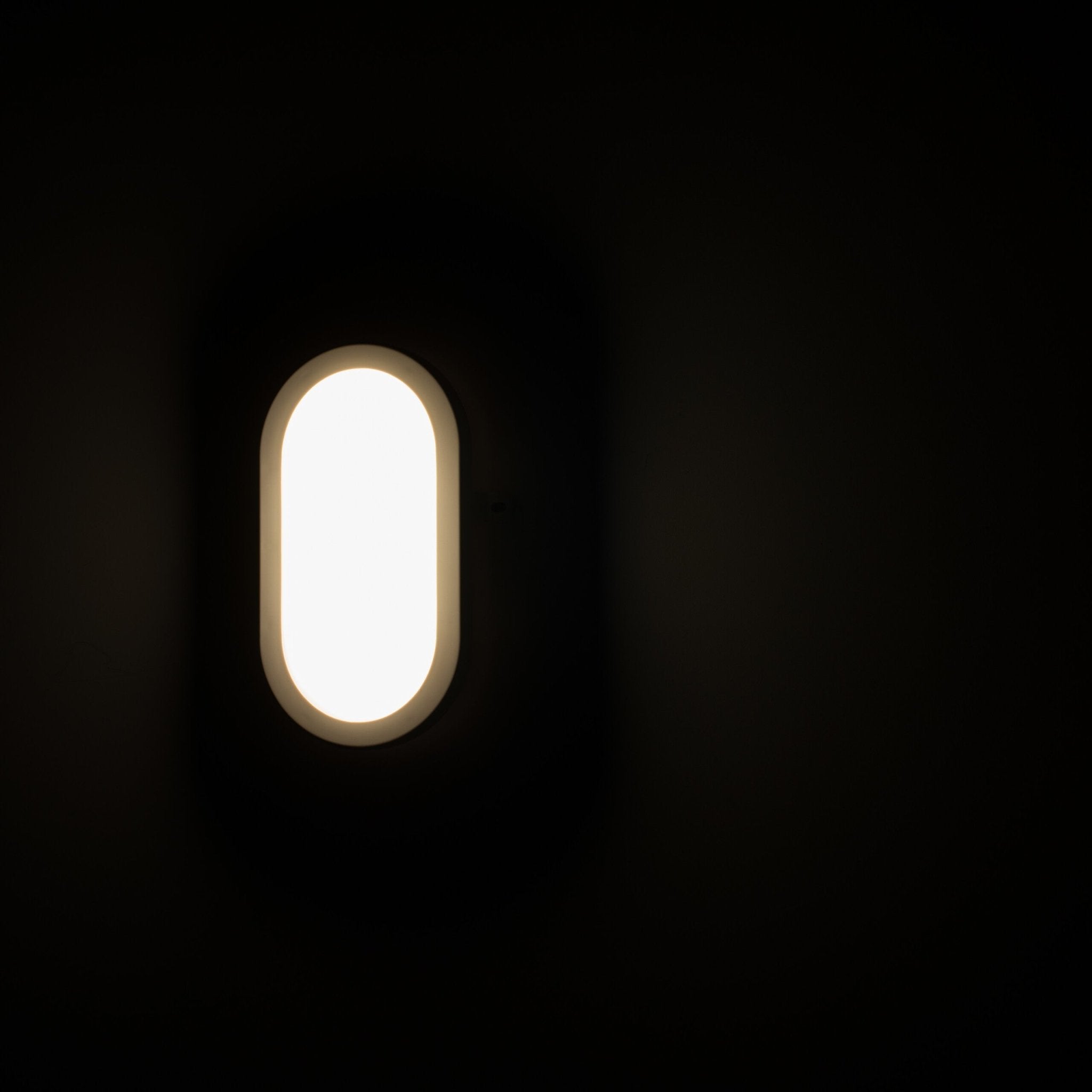 Proventa Outdoor LED Bull eye buitenlamp - Wandlamp model Ovaal voor buitengebruik - LED.nl