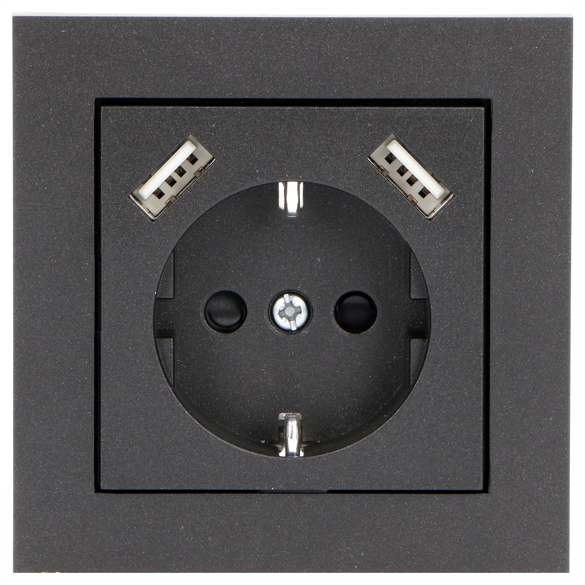 Reflex Inlegplaat voor wandcontactdoos met 2 USB - Zwart - LED.nl