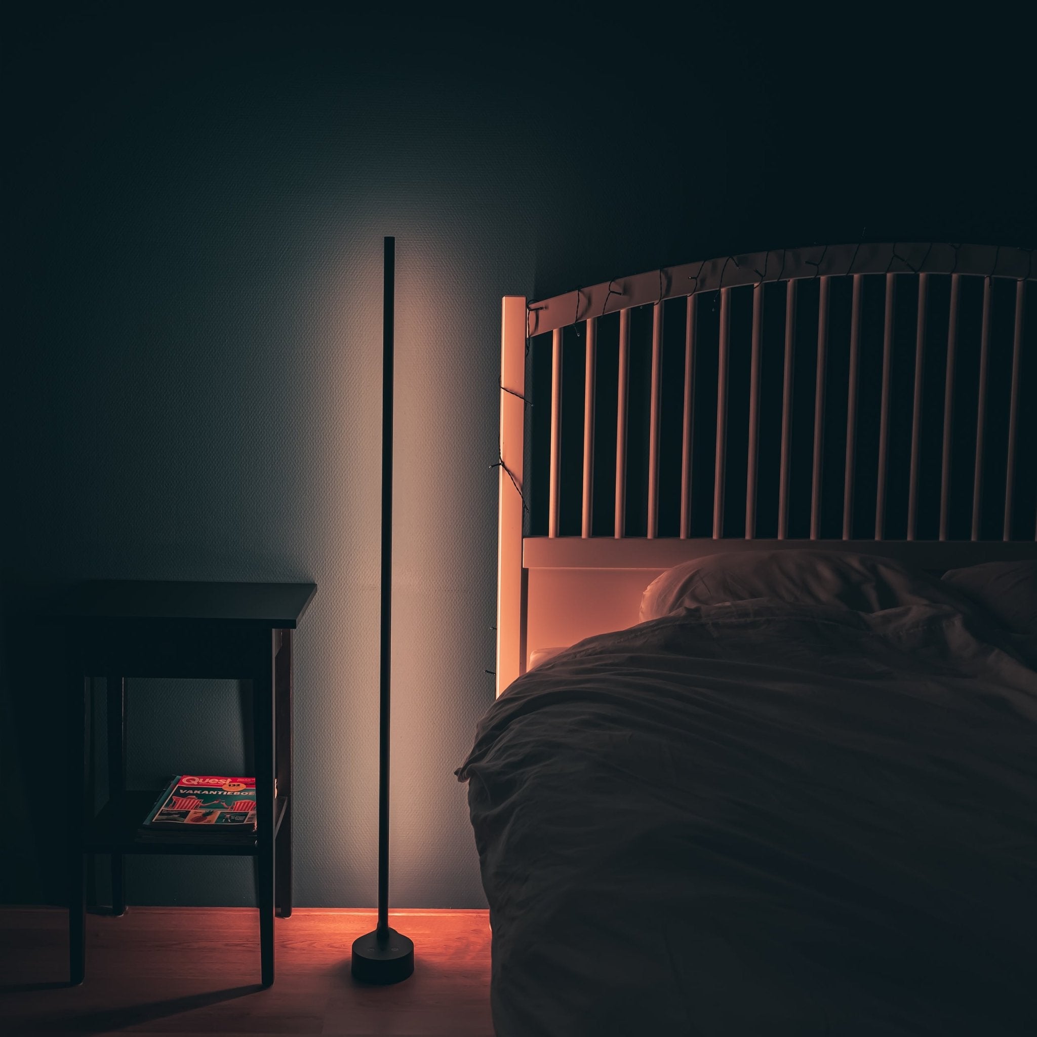 Smart LED WiFi Vloerlamp - Dimbaar en lichtkleur instelbaar - Bedienbaar met app en spraak - 138 cm - LED.nl