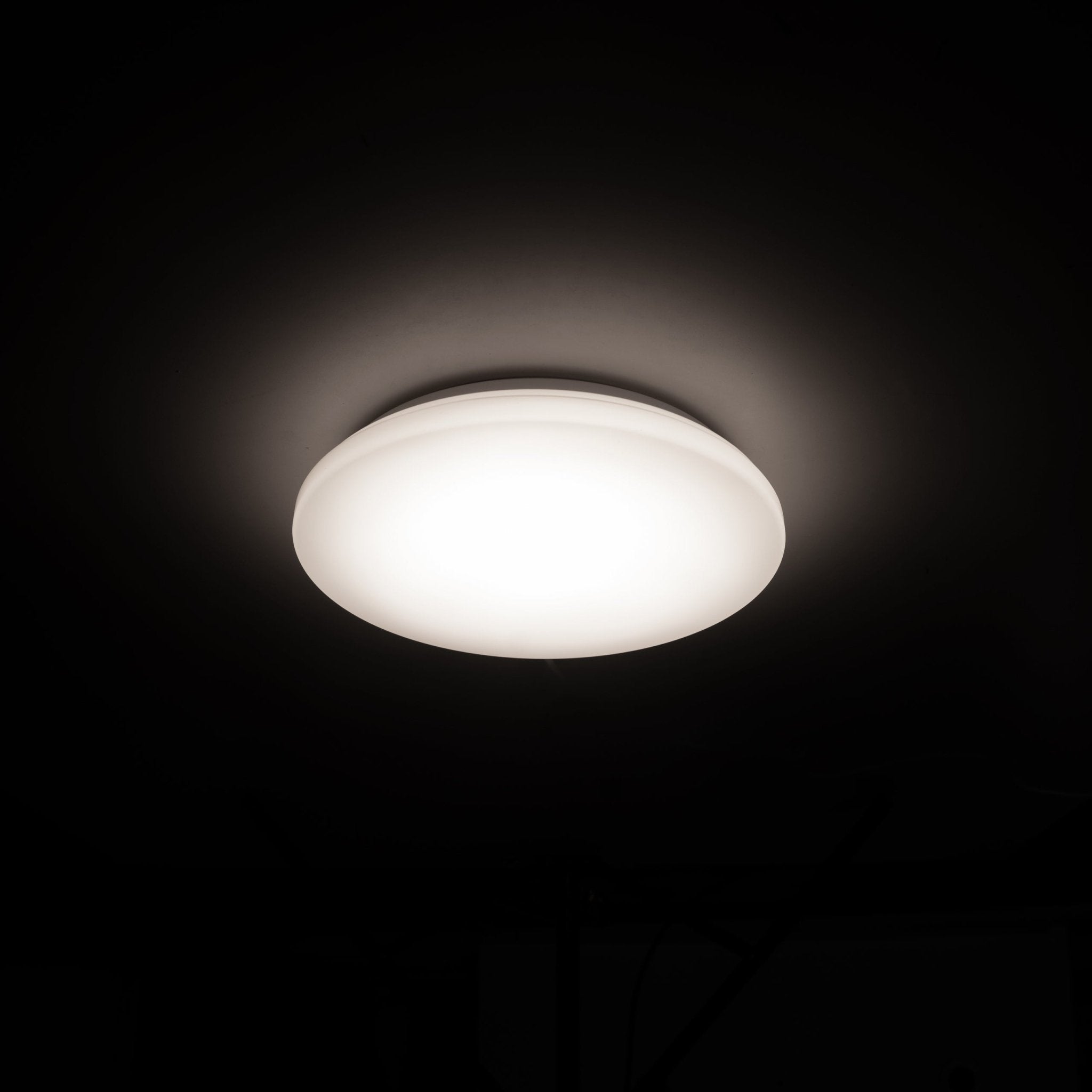 Universele LED Plafondlamp 27 cm - Koud wit licht - Spatwaterdicht - LED.nl